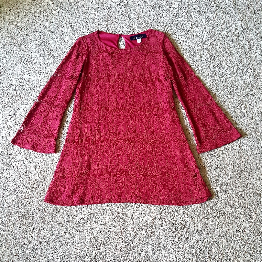 Francesca's Lace Dress